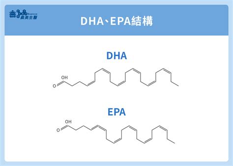 epa結構|EPA魚油是什麼？跟一般魚油的差別在哪裡？